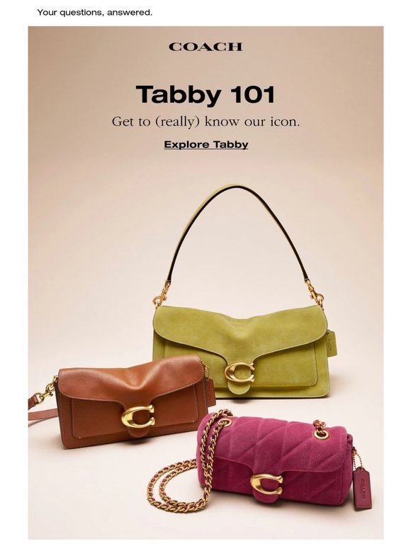 Get to (really) know Tabby.