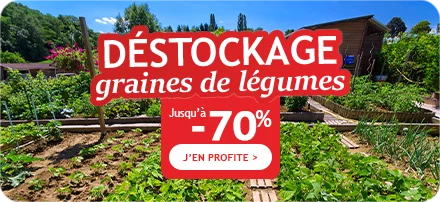 Déstockage jusqu’à -70% : graines de légumes !