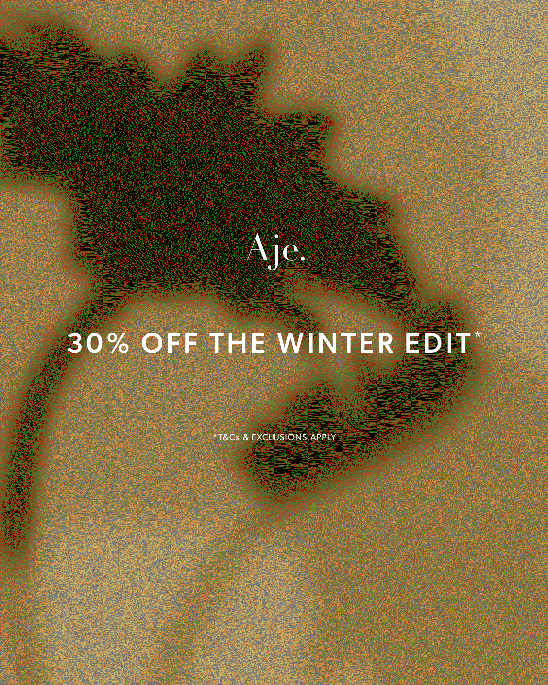 Winter Edit