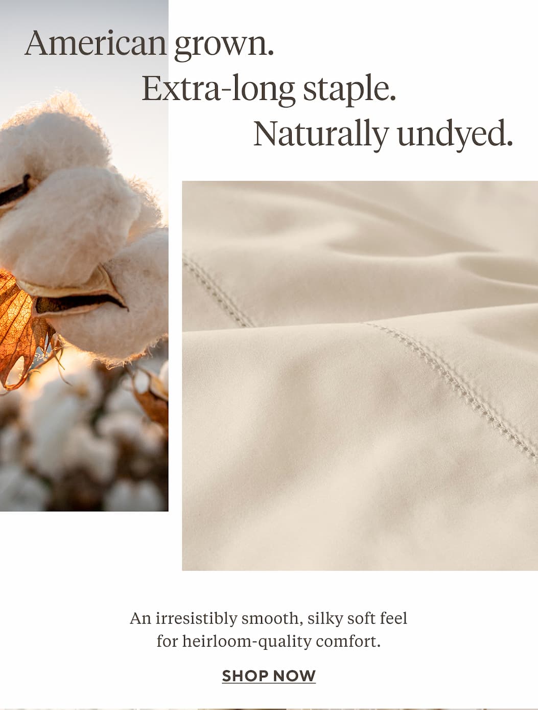 American grown. Extra-long staple. Naturally undyed. An irresistibly smooth, silky soft feel for heirloom-quality comfort. 