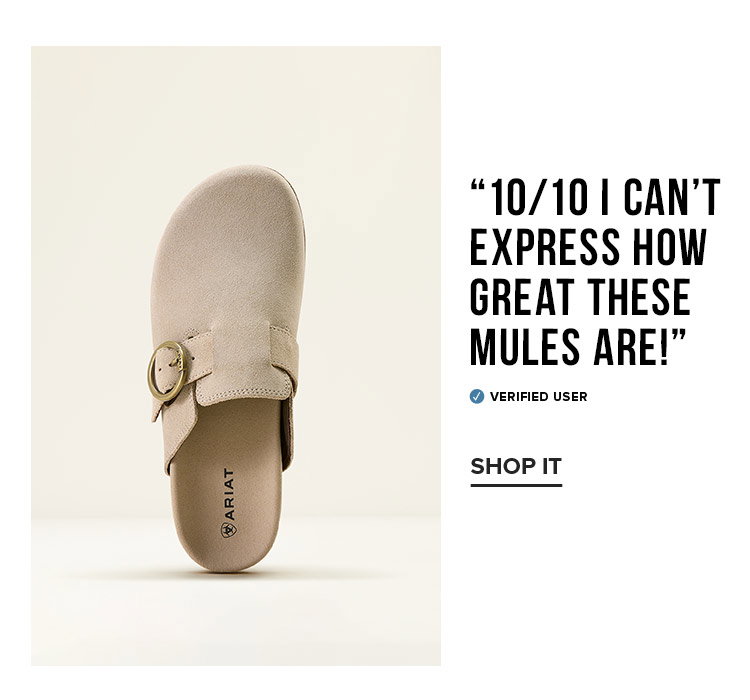 “10/10 I can’t express how great these mules are!”