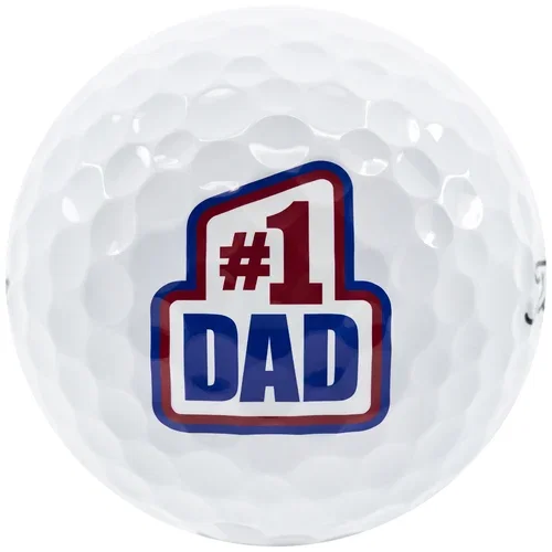 1dadprov1_x_left-dash_3
