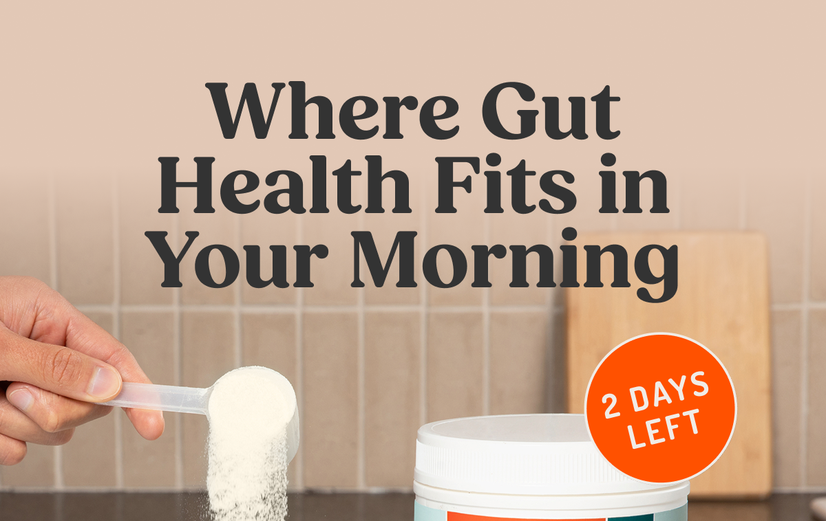 Where Gut Health Fits in Your Morning 2 DAYS LEFT