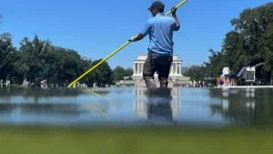Trump's reflecting pool renovation, full of algae.