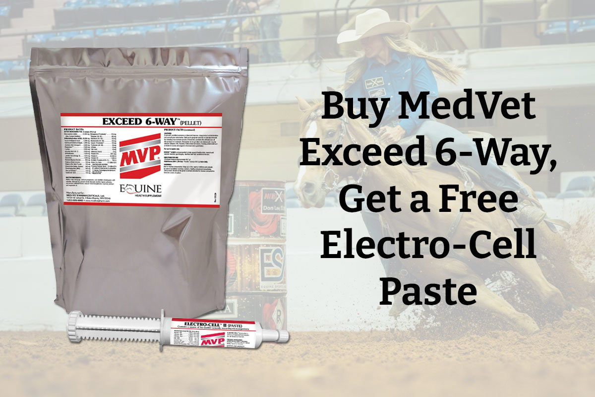 Buy MedVet Exceed 6-Way, Get A Free Electro-Cell Paste