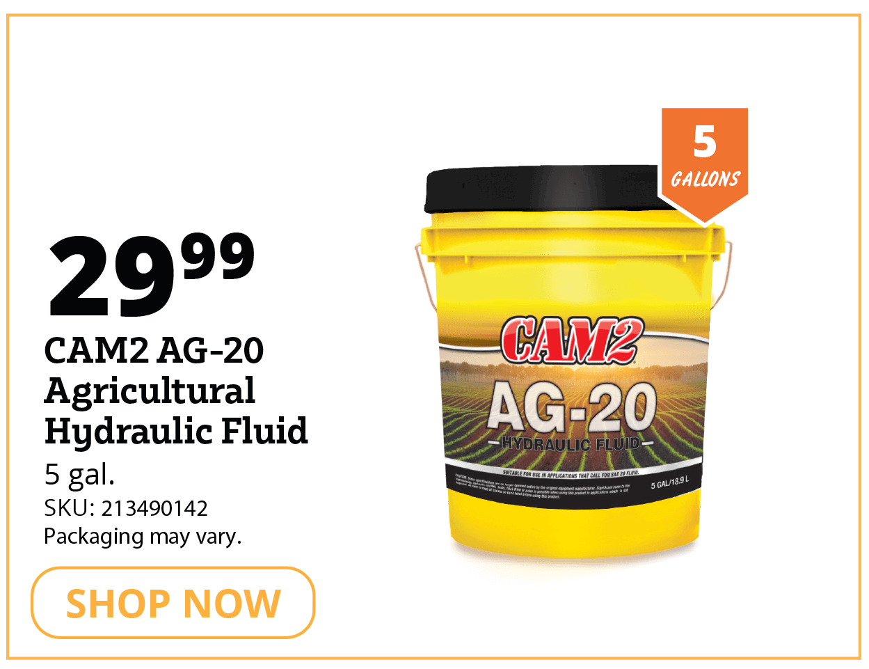CAM2 AG-20