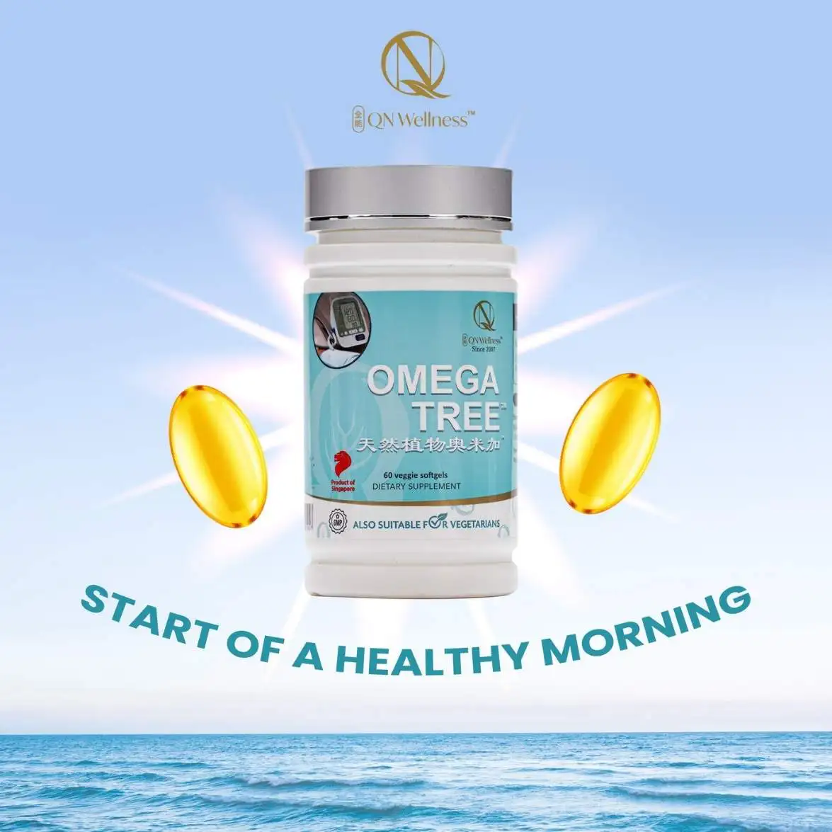 QN wellness
