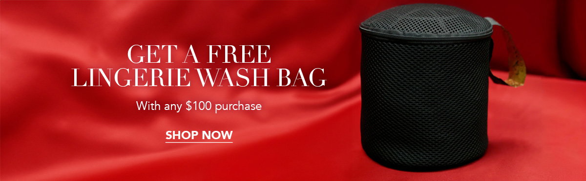 Free Lingerie Washbag with $100 Purchase [Shop Now]