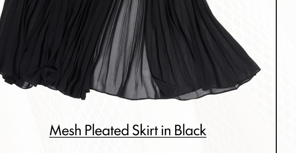 Mesh Pleated Skirt in Black