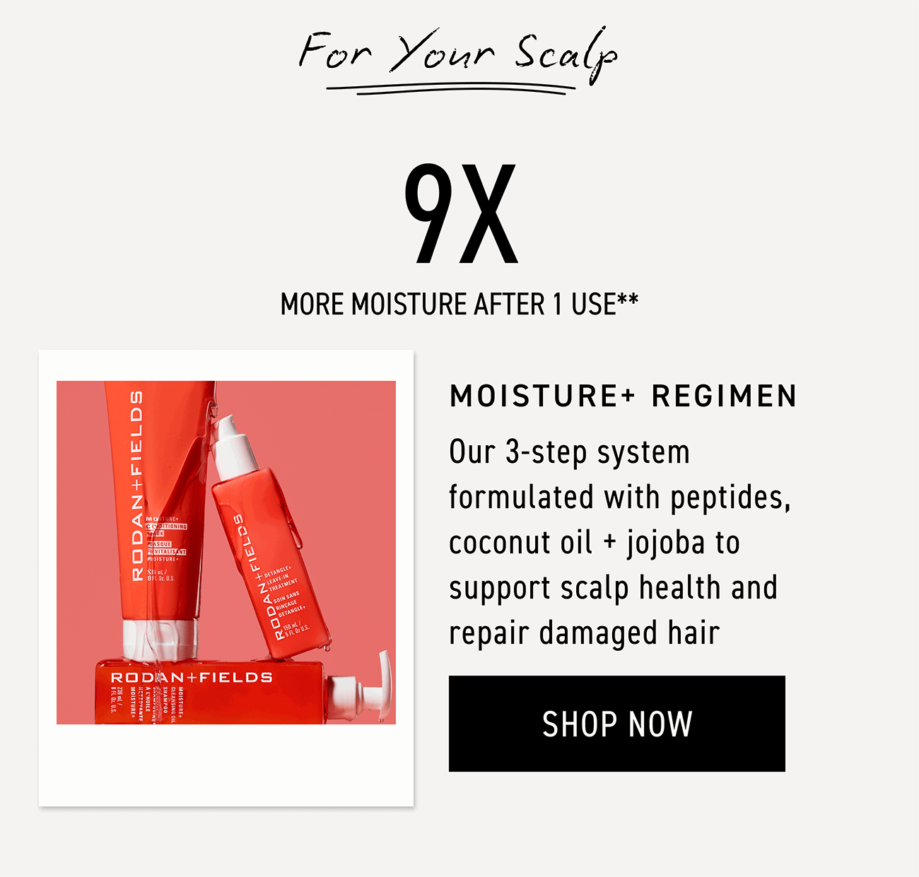 Moisture+ Regimen is a 3-step system formulated with peptides, coconut oil and jojoba to support scalp health and repair damaged hair. CTA: SHOP NOW