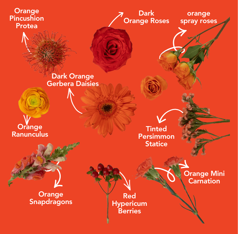Pinterest Palette Collection: Persimmon Orange