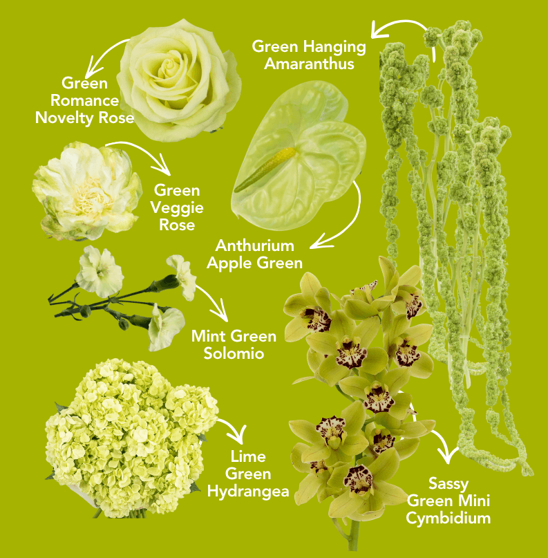 Pinterest Palette Collection: Wasabi