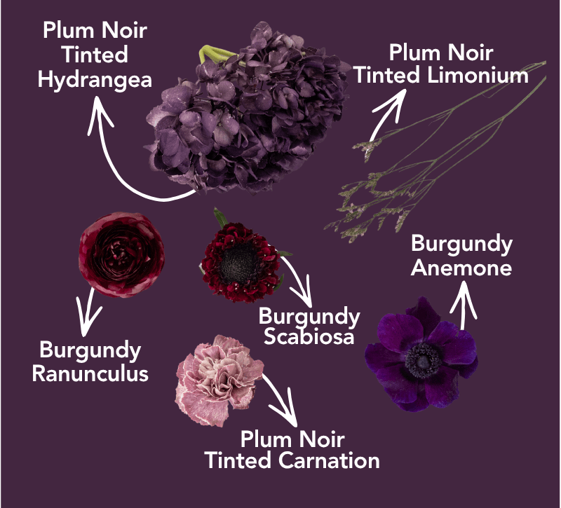 Pinterest Palette Collection: Plum Noir