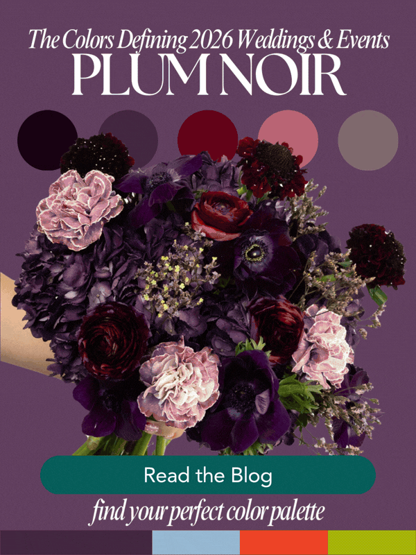 Pinterest Palette Collections