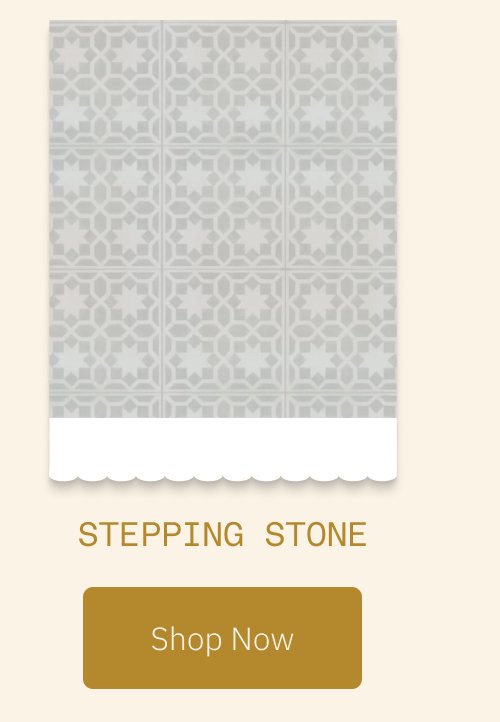 Stepping Stone Shop Now