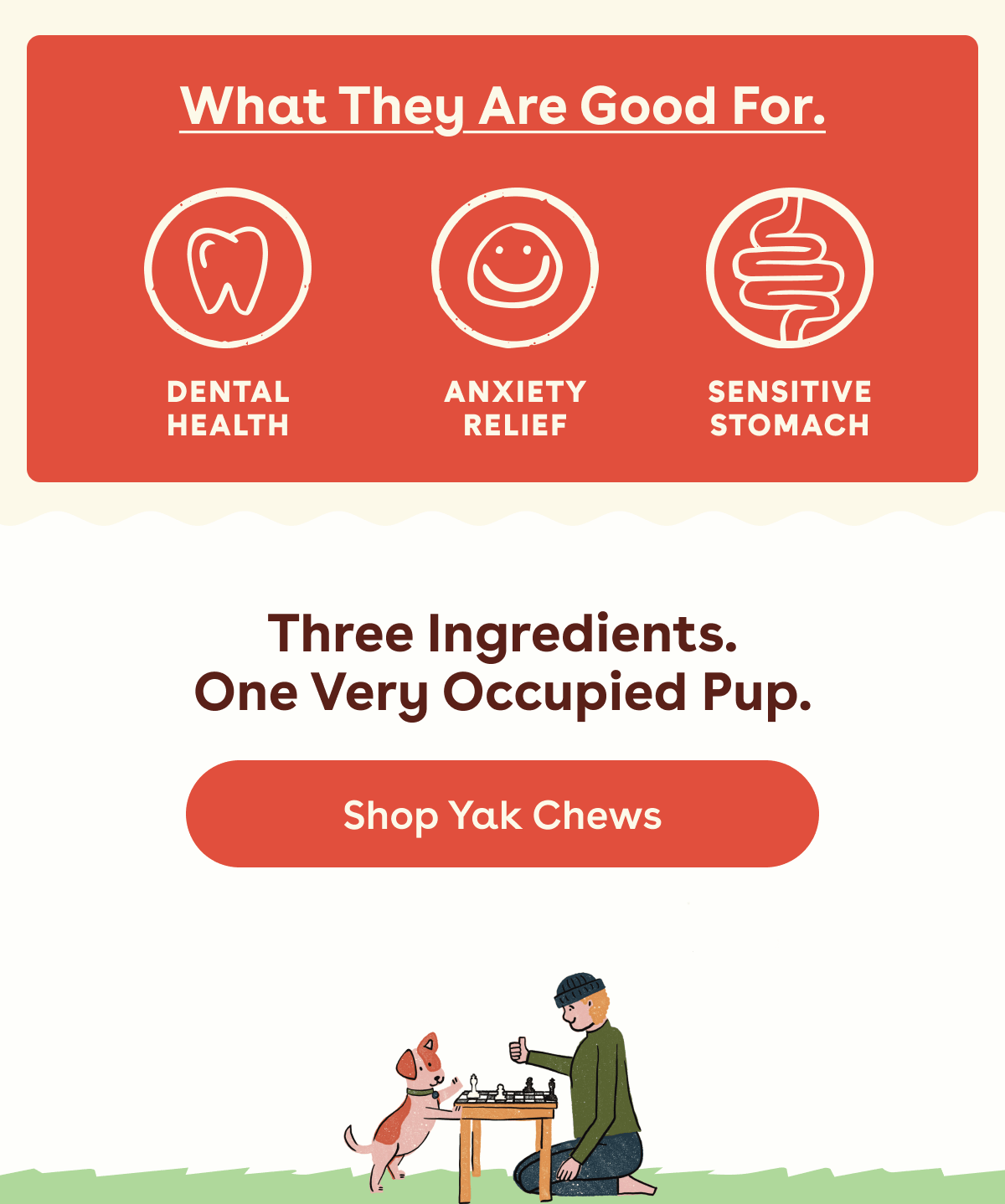 What they are good for 