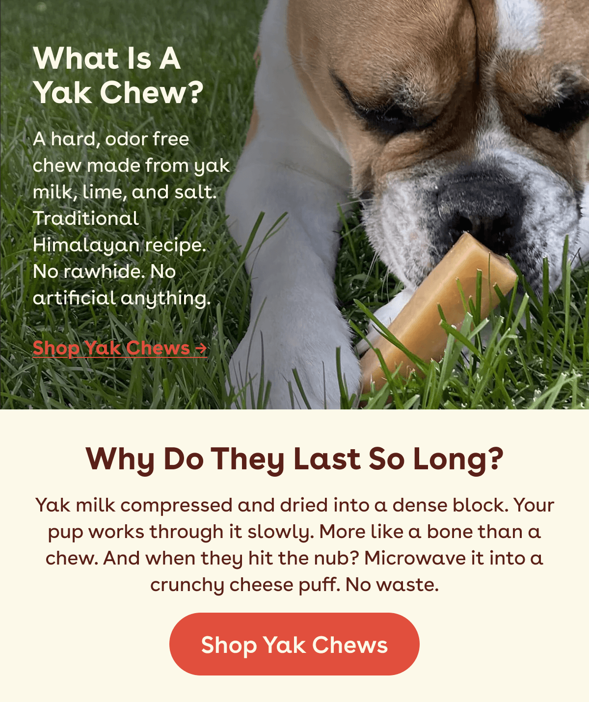 Shop Yak Chews