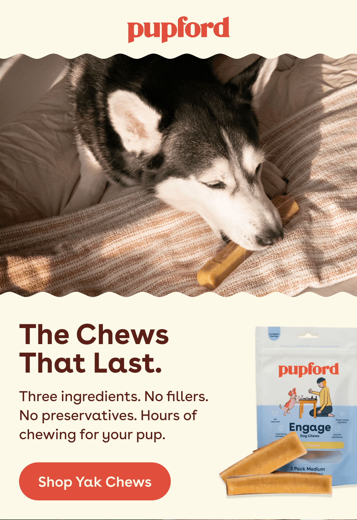 Shop Yak Chews