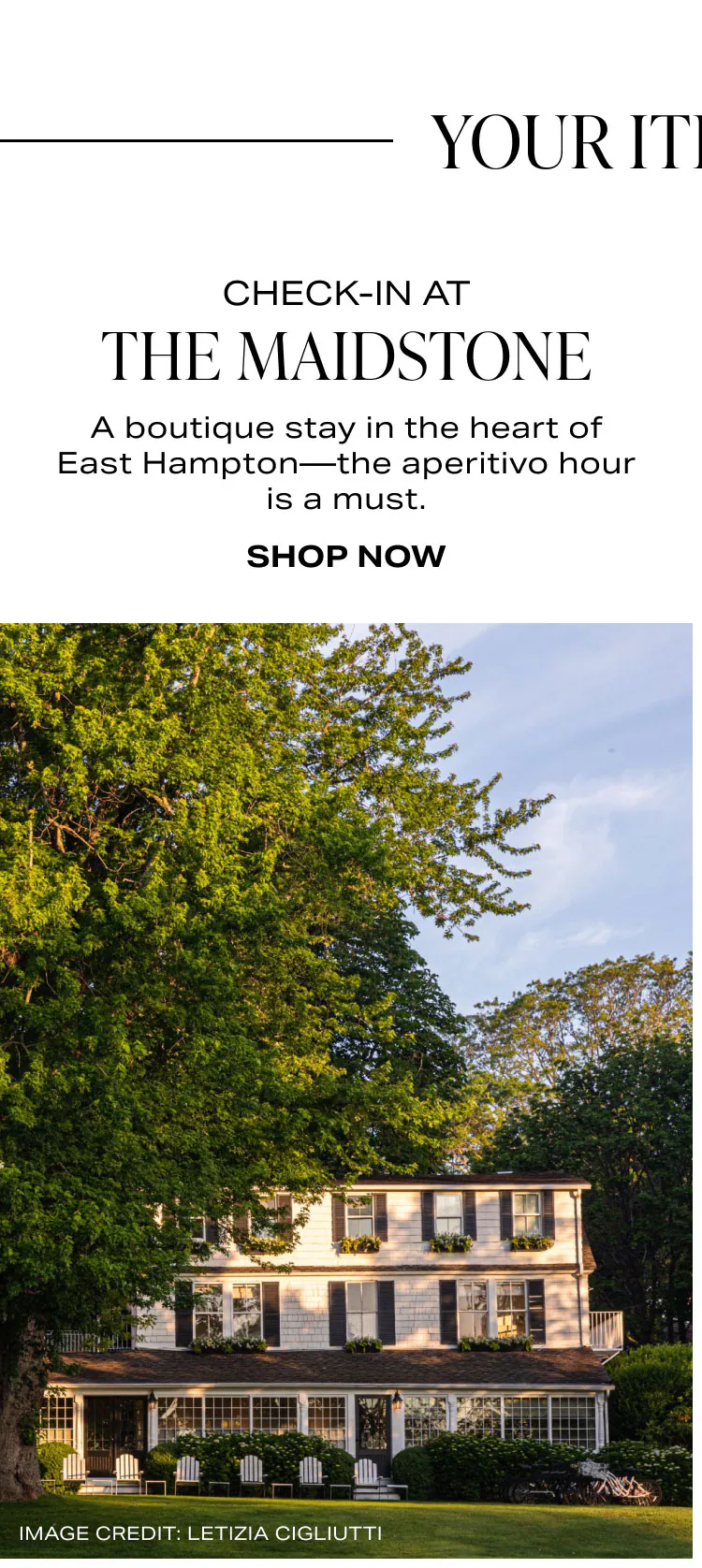Shop The Maidstone