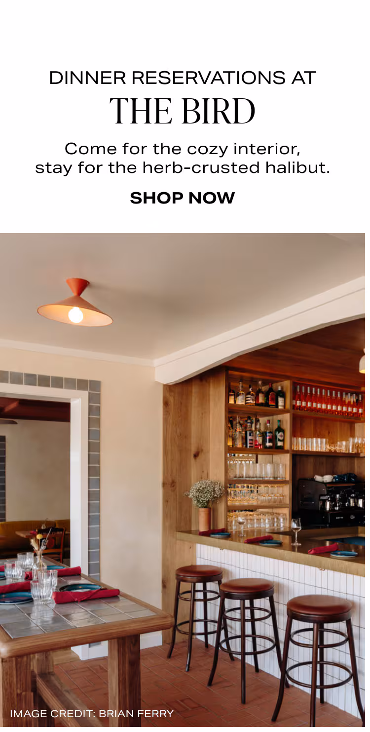 Shop The Bird