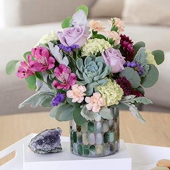 SHOP STUNNING<br>SUCCULENTS