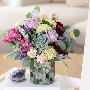 SHOP STUNNING<br>SUCCULENTS