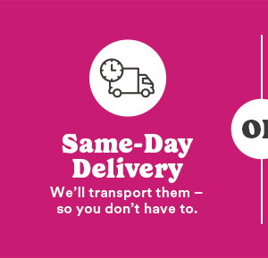 Same-Day Delivery We'll transport them so you don't have to.