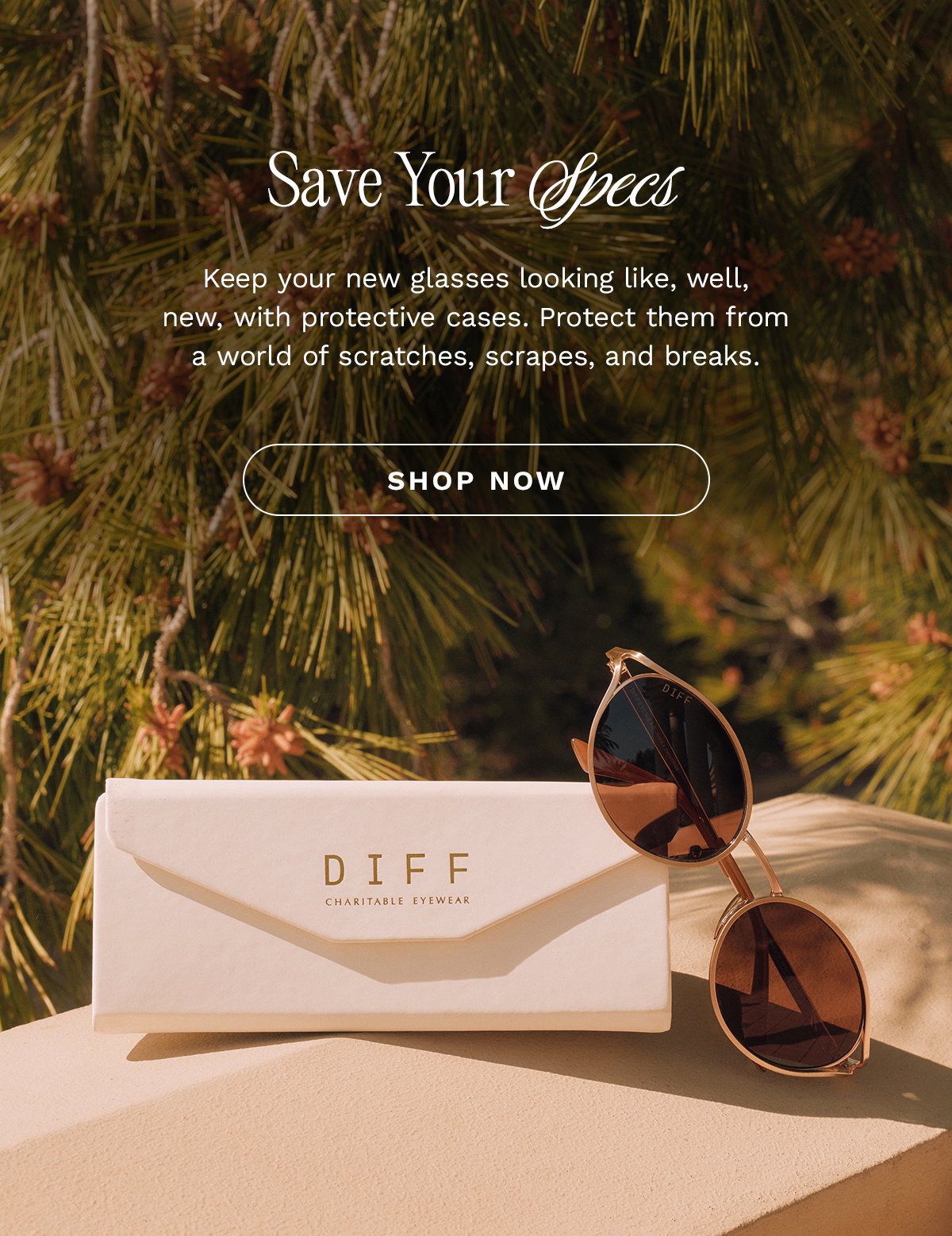 Shop Prescription Glasses 