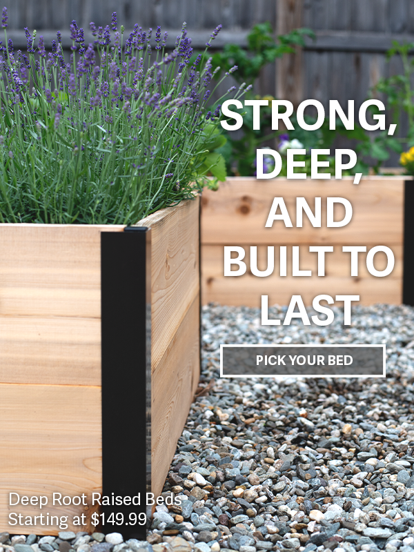 Strong, Deep, and Built to Last - Pick Your Bed - Deep Root Raised Beds- Starting at $149.99