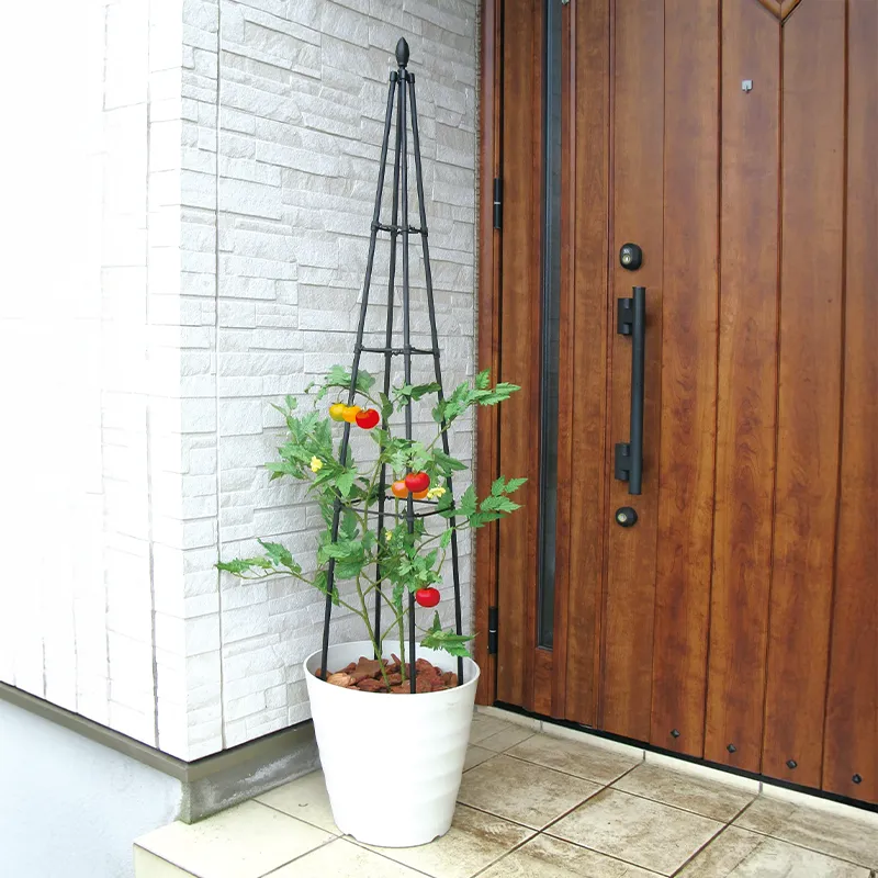 Image of Titan™ Pyramid Trellis