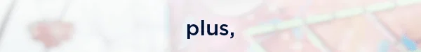 Plus