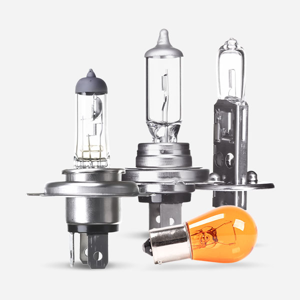 Bulbs