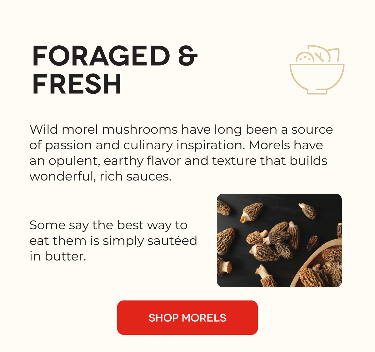 FORAGED & FRESH  Wild morel mushrooms have long been a source of passion and culinary inspiration. Morels have an opulent, earthy flavor and texture that builds wonderful, rich sauces. Some say the best way to eat them is simply sautéed in butter. SHOP MORELS