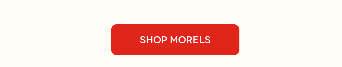 SHOP MORELS