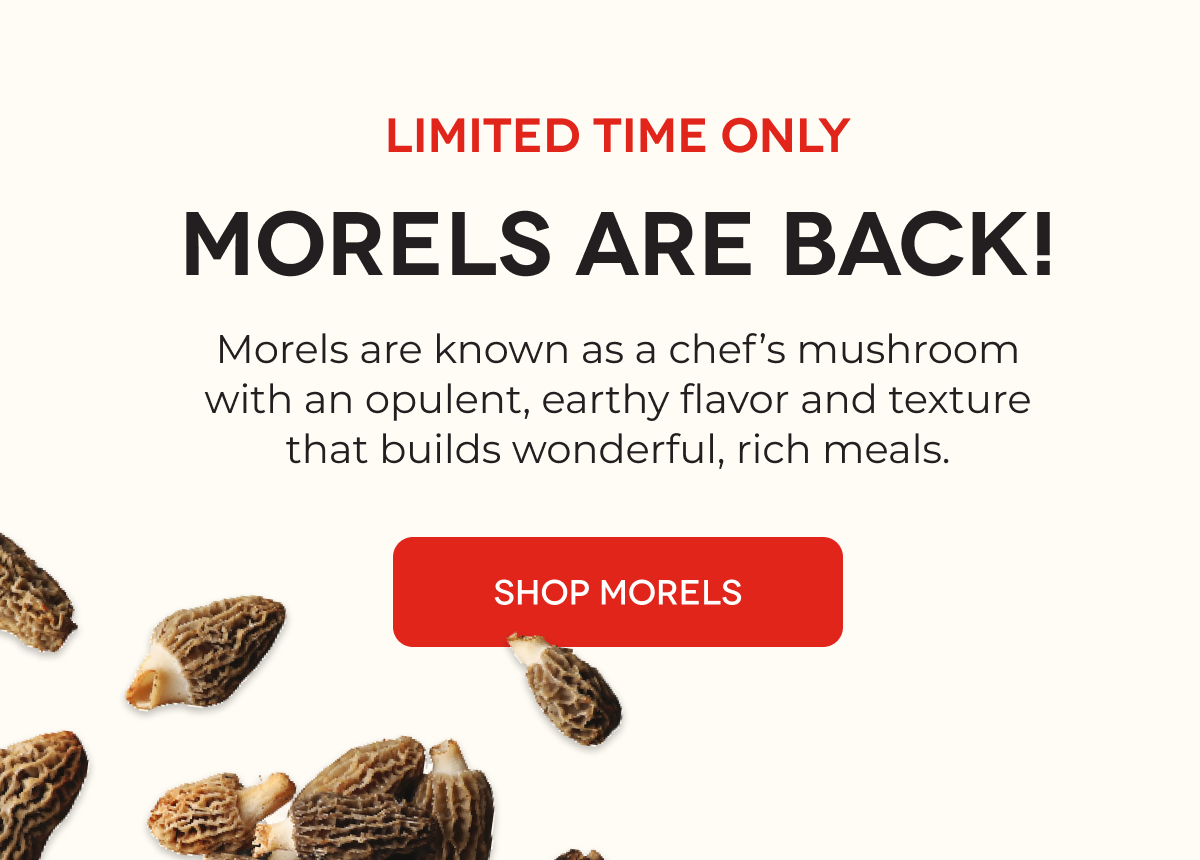 LIMITED TIME ONLY MORELS ARE BACK! Morels are known as a chef's mushroom with an opulent, earthy flavor and texture that builds wonderful, rich meals. SHOP MORELS