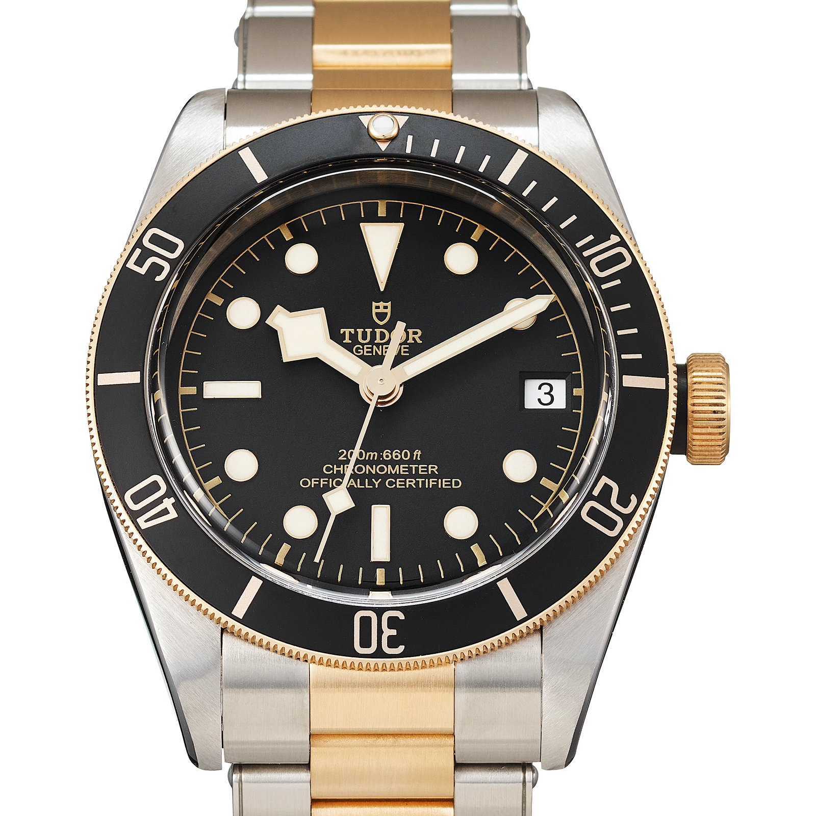 Image of Tudor Black Bay S&G