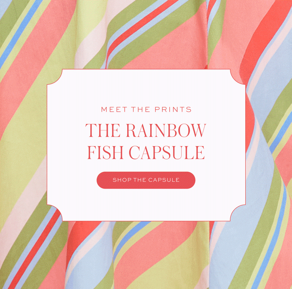 Meet the Prints: The Rainbow Fish Capsule