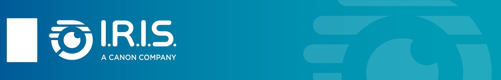 Logo IRIS