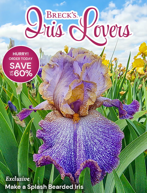 Iris Lover