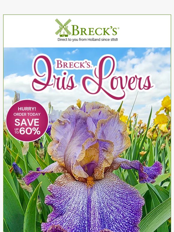 🔎 Discover Our Most Stunning Irises Yet