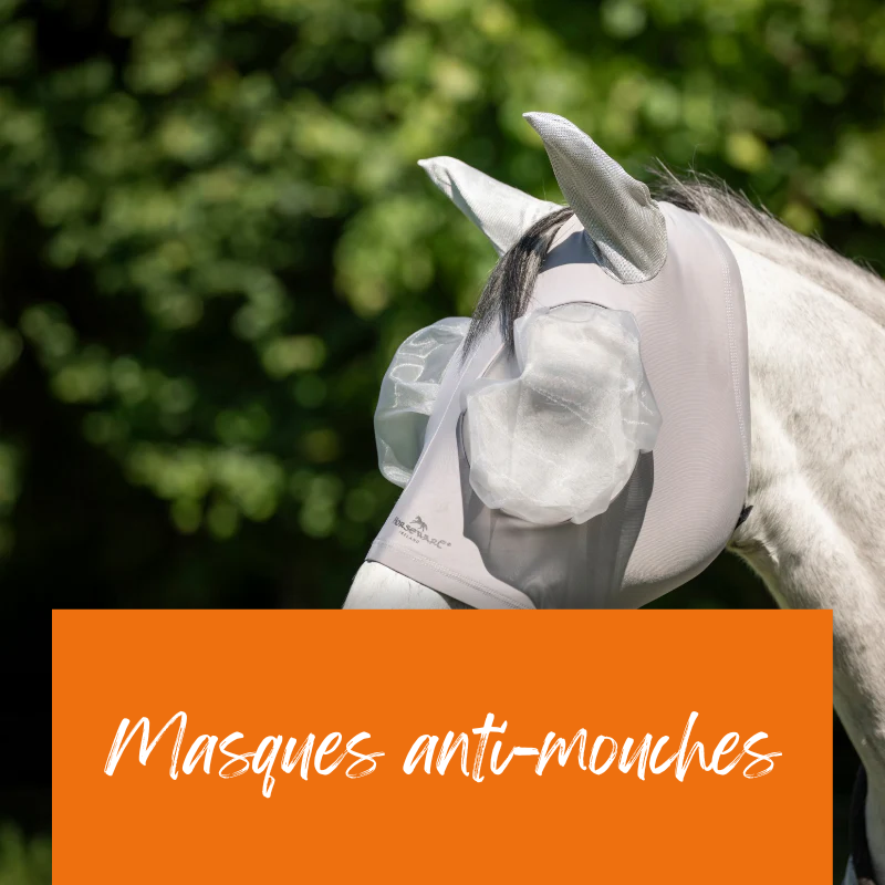 Masques anti-mouches