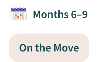 Months 6-9 | On the Move