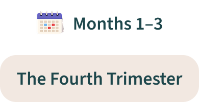 Months 1-3 | The Fourth Trimester