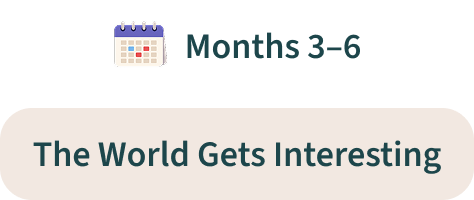 Months 3-6 | The World Gets Interesting