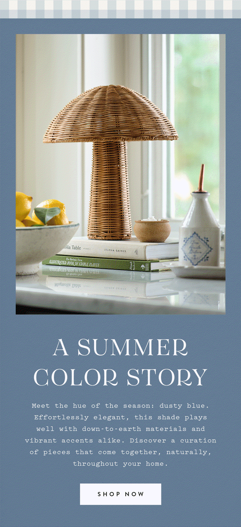 A Summer Color Story