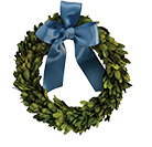 Preserved Boxwood Mini Wreath