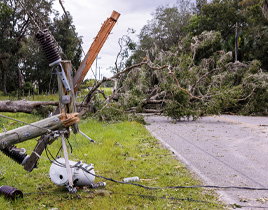 Hurricanes/ Wind Storms