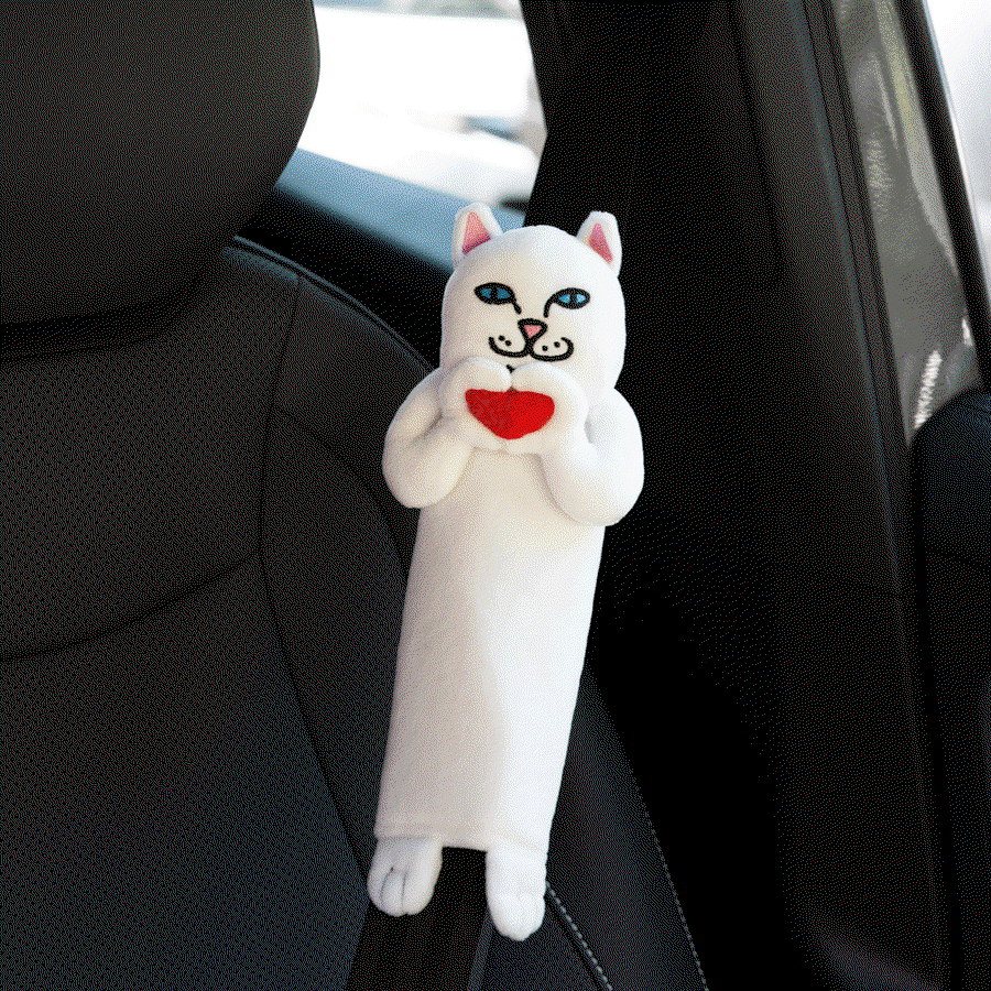 car accessories