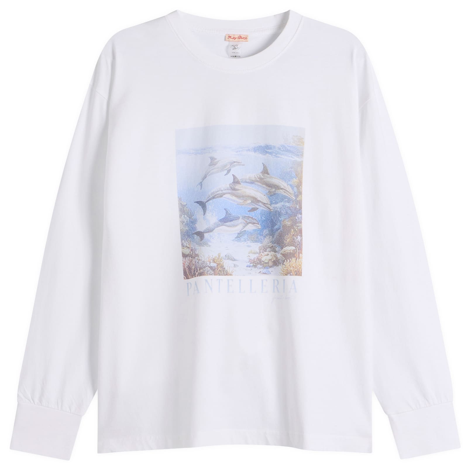 Fruity Booty Baggy T-Shirt