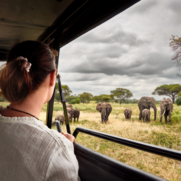 Kenya & Tanzania